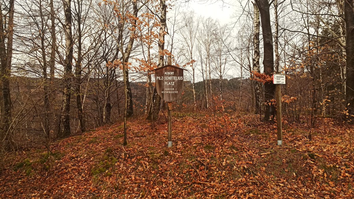 Moin Welt 😎☕🏵️