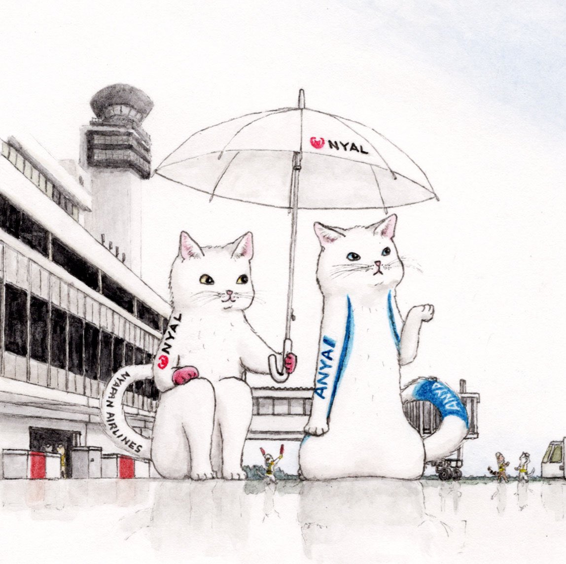 no humans airplane cat aircraft traditional media colored pencil (medium) animal  illustration images