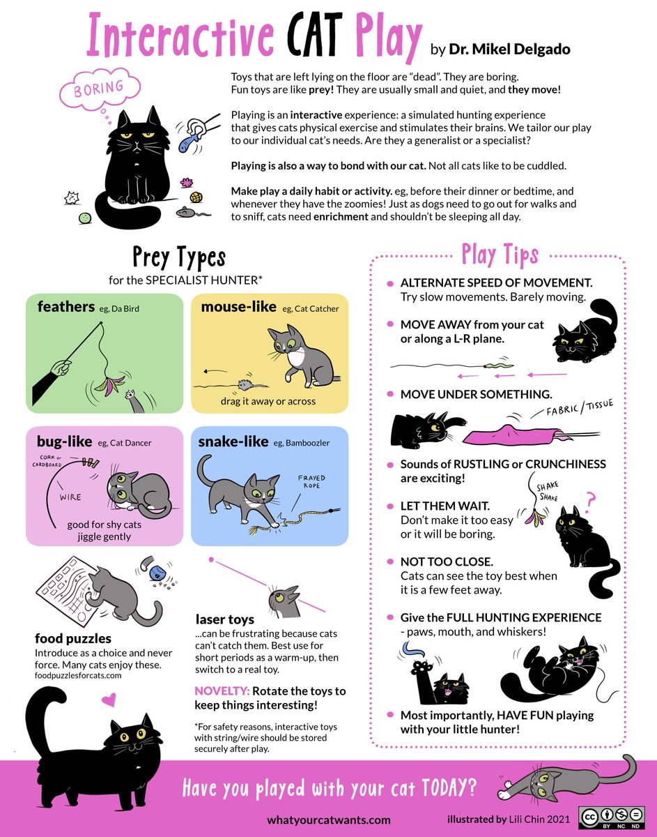 LabAllaband's tweet photo. Cats need you to play with them! Daily interactions strengthen the human-animal bond and are great for exercise. Even if all you do is make them do a scavenger hunt to find their food. #playisexercise #cats #Veterinary @CatVets @mikel_maria https://t.co/dZ6fFLdbJ7