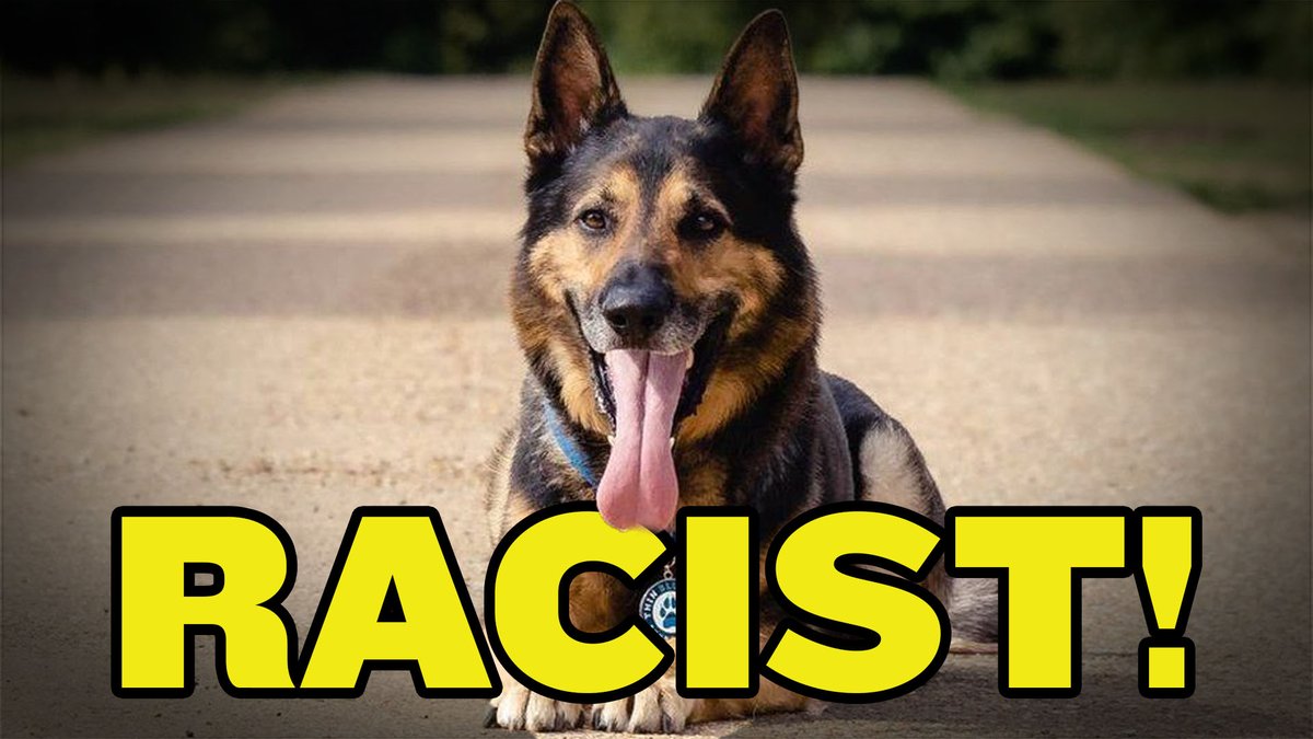 America Uncovered on Twitter "California Now Says Police Dogs Are Racist https//youtu.be