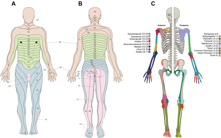 BJAJournals's tweet photo. What techniques do you employ to minimise the chance of a failed peripheral nerve block?

Read our recommendations in this excellent #BJAEducation article:

https://t.co/GKKl0Ood11
#regional #anaesthesia https://t.co/pWN5ZnkC8s