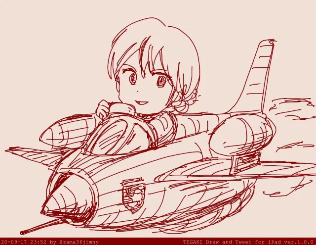 #プロパイロットを知らない人がプロパイロットだと思う画像を貼る 