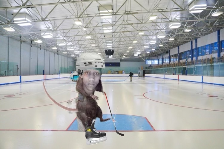 MichaelMullner's tweet image. Day 11. We have an updated photo on what Aaron Kariuki might look like since he stole over $400 of hockey equipment from me.