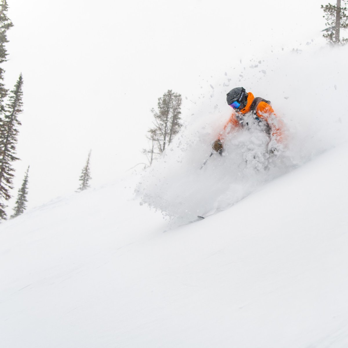 bigskyresort's tweet image. Spring? You mean we&apos;re supposed to spring into a bunch of powder, right? 

📷 Rob Koehn taken 3.25.23

#springskiing #podwer