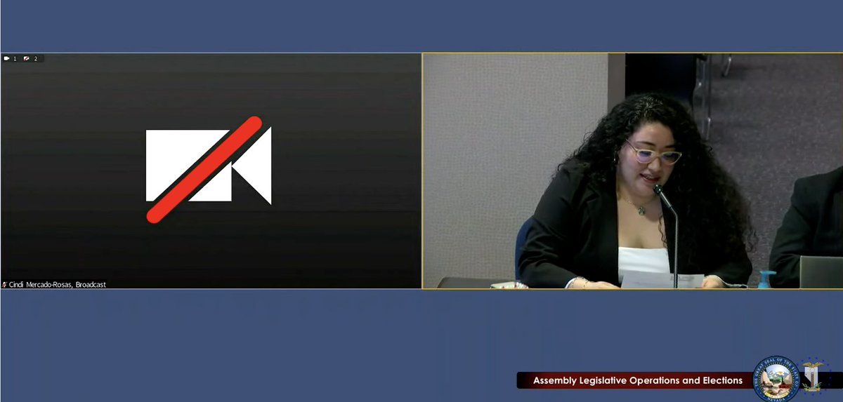 LetNevadaVote's tweet photo. "Language access also promotes civic engagement and inclusion.  It sends a message to our community members whose primary language is not English that they are valued members of the electorate." Thank you Bianca from @PLANevada for your support on #AB246 #NVLeg https://t.co/xHbGnetvJ9