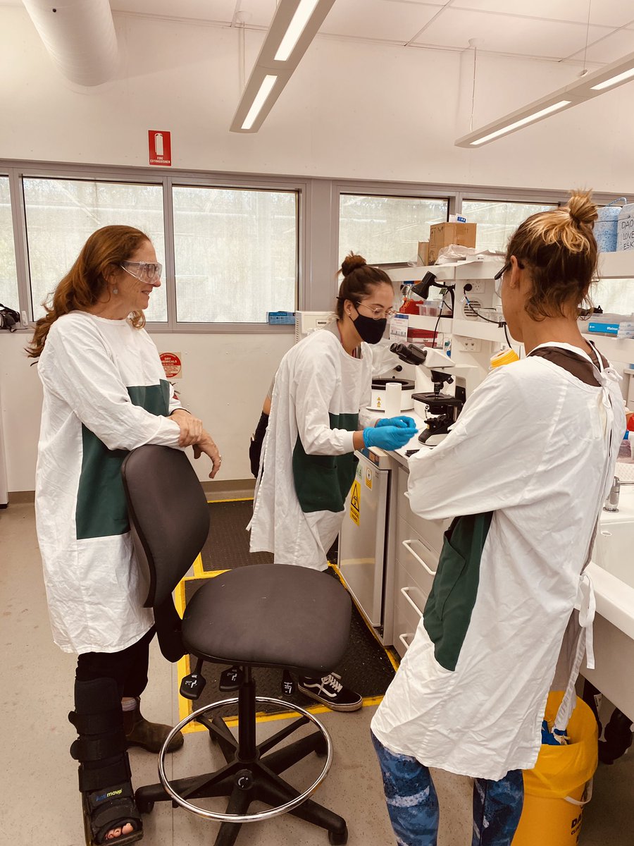 Excited to be hosting Karina &amp; Kait from @nswdpi for our octopus ageing training intensive using the amazing labs <a href="/UniSAFII/">UniSA Future Industries Institute</a>. Run by <a href="/DonlonErica/">Erica Donlon Durante</a>, funded by <a href="/FRDCAustralia/">FRDC</a>, driven by industry. 

Women in fisheries can be few and far between…so here’s to #womeninSTEM