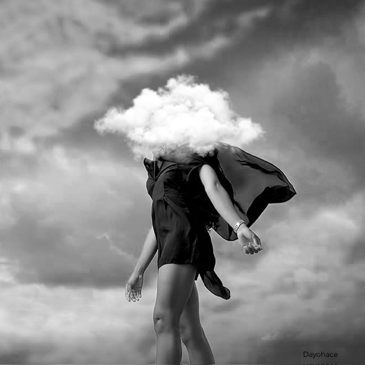 Day 51/1000

IN THE CLOUD
#1000daysartchallenge