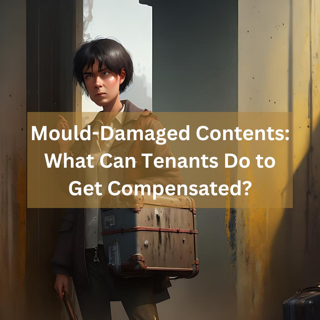 FSOAustralia's tweet image. Did you know that mould in rental properties can pose a serious health risk? Stay informed with our latest article and learn how to spot the signs. #rentalproperty #mouldproblems #tenantsrights #healthhazard #realestate  financialservicesonline.com.au/articles.php?i…