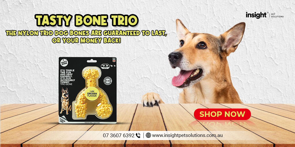 insight_pet's tweet photo. Treat your pup to the best! The Tasty Bone Trio made with 100% Virgin Nylon is here to make sure your pup is always happy and satisfied. 

Visit  https://t.co/3AdkoXNVnW 

#Dogproducts #tastybonetrio  #Insightpetsolutions #Petproducts #dogs #australia #Dogcollars #Doglovers https://t.co/dg3QWZ1A76