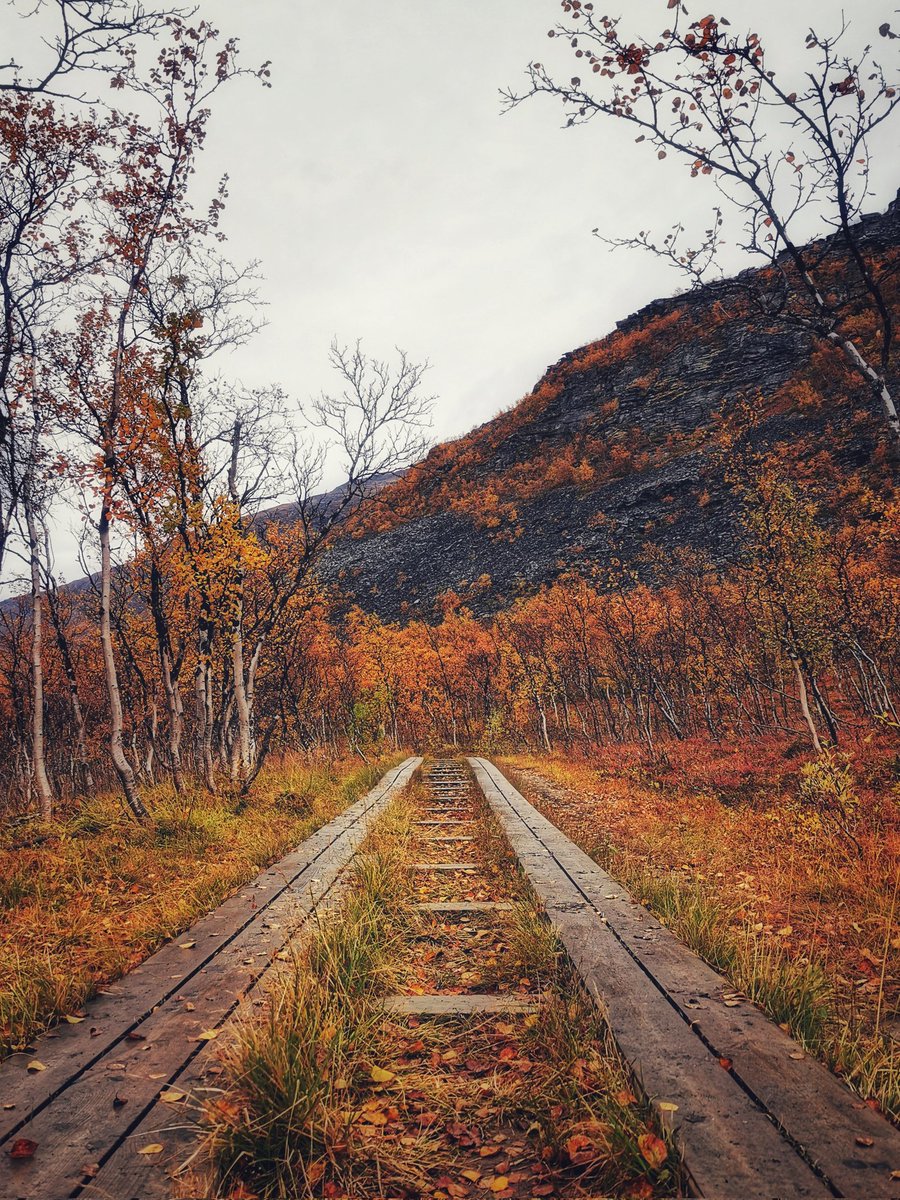 Hello world!👋

Share your path/trail photos below🏞️

Please retweet this post to get more exposure🔄

thank you and have a great rest of the week😄

#photography #PhotographyIsArt #path #trail