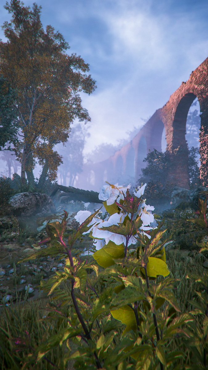 CyberTribal86's tweet photo. A Plague Tale: Innocence
“The World is a Beautiful Place”
#APlagueTale #VirtualPhotography #VGPUnite #VPRT #ArtisticofSociety #APlagueTaleTuesday https://t.co/R6XoApZPEW