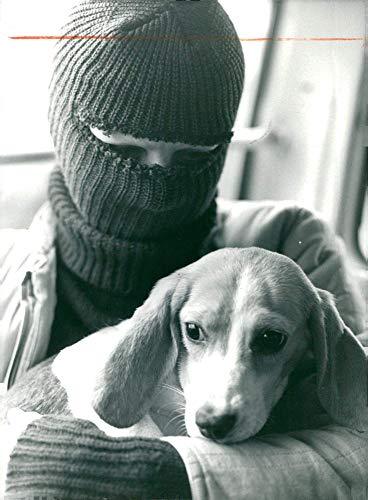 Let's be clear: we are fighting for revolution, not reform; we are fighting to end slavery, not to regulate it. Animal liberation expresses the most radical idea the human ear has ever heard: other animals are not food, clothing, resources, or objects of entertainment. 
-ALF