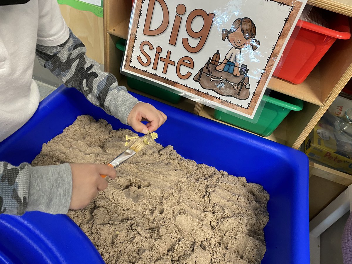 leight123's tweet photo. Our dinosaur unit is in full swing!  The students are digging for dinosaur bones like paleontologists, investigating bones &amp; fossils, &amp; much more! The students generated a list of things they would like to learn about dinosaurs to guide our instruction. I love #prek learning! https://t.co/qZzSPG0QHC