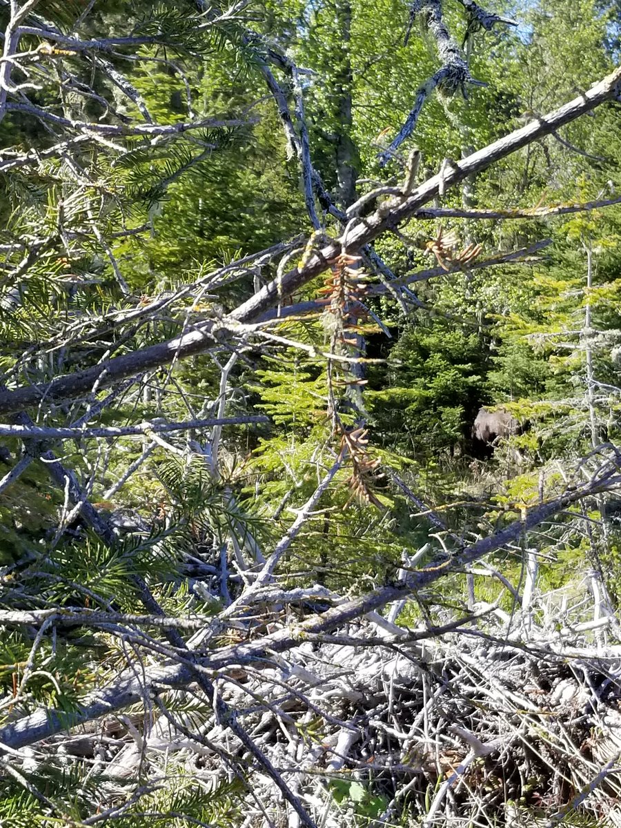 A. Trentham-Dietz tweet media