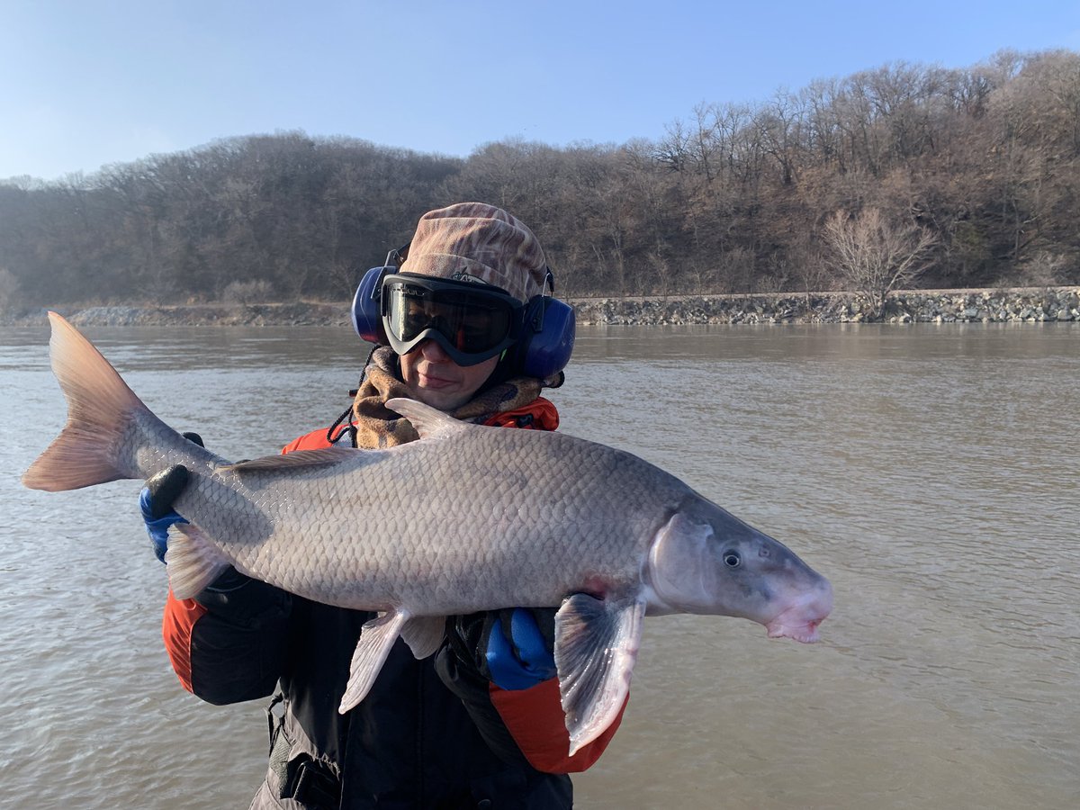 Chris Pullano tweet media