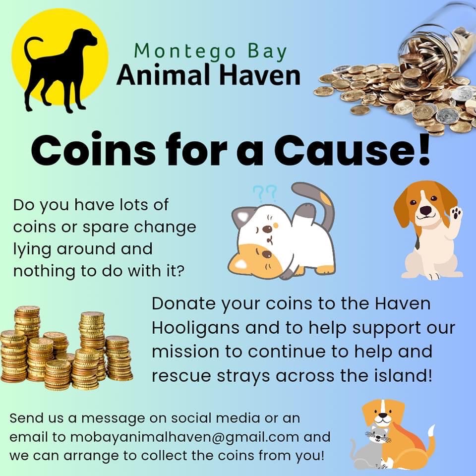 msinclairja's tweet photo. ⁦@HavenMontego⁩ https://t.co/DJm1C5v7Fi