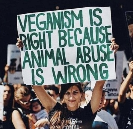veganfuture's tweet photo. https://t.co/TOHH6IjhOM