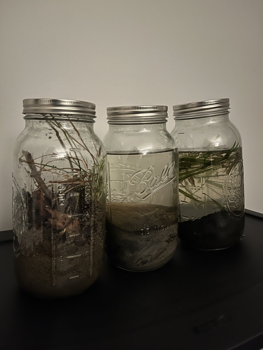 MitchellHWise's tweet photo. (1) Did I originally say 3 Ecospheres? Okay, I may have gone a tad overboard and collected two more! For the pictured three, from left to right, the first was collected from Croton, the middle from Sparkle Lake, and the rightmost from Tarrytown. https://t.co/7kt62CjGlm