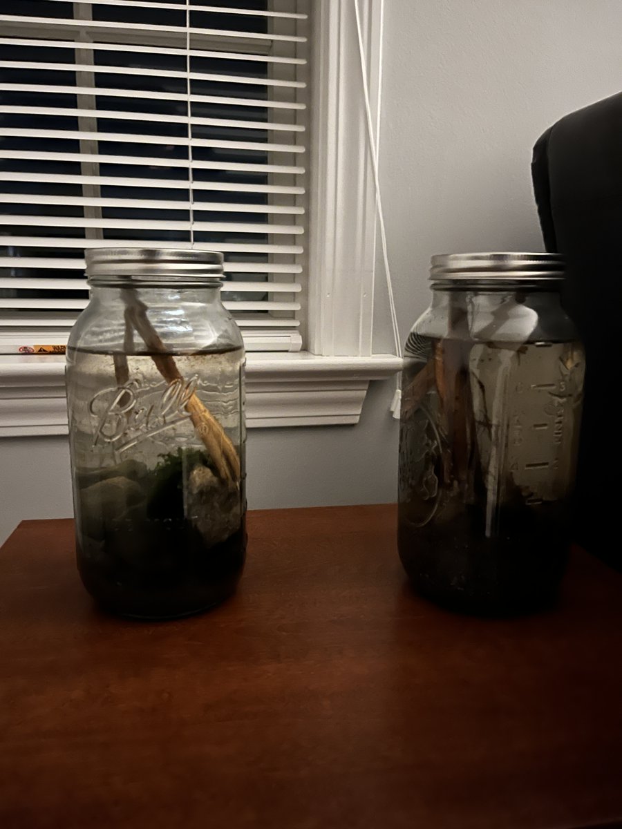 MitchellHWise's tweet photo. (1) Did I originally say 3 Ecospheres? Okay, I may have gone a tad overboard and collected two more! For the pictured three, from left to right, the first was collected from Croton, the middle from Sparkle Lake, and the rightmost from Tarrytown. https://t.co/7kt62CjGlm