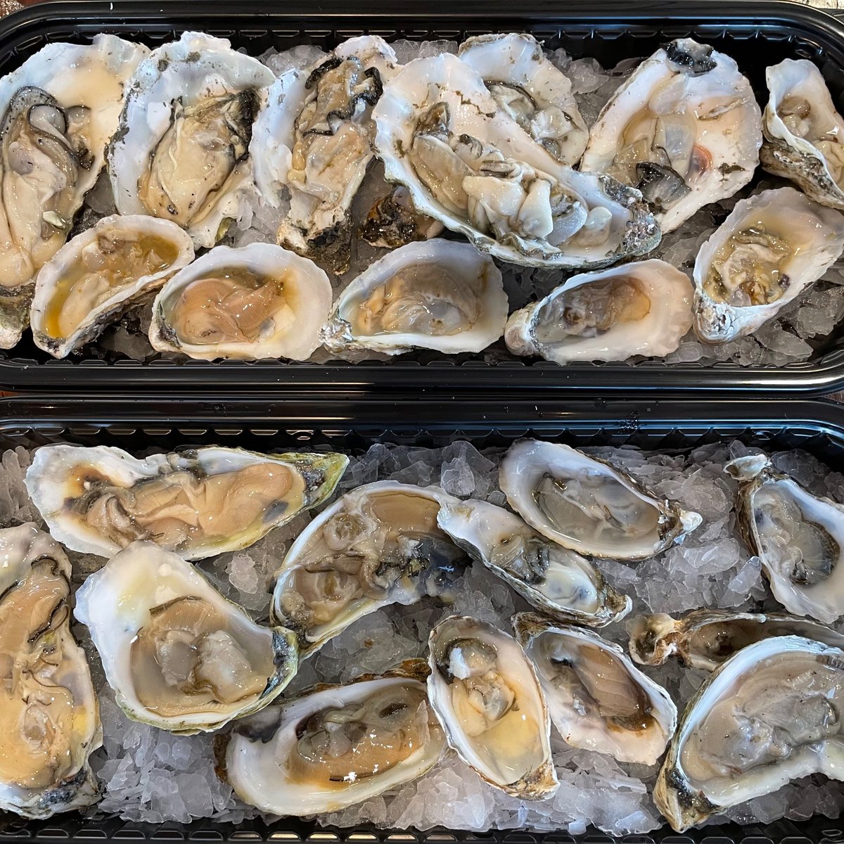 Fon 🍀 on Twitter "Pacific, Long Island, Takara, Wellfleet oysters 🦪"