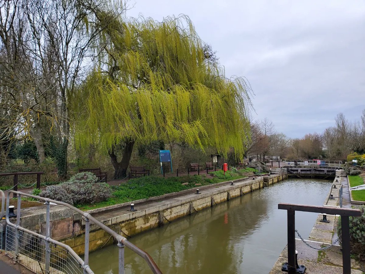 Morten Lidegaard tweet media