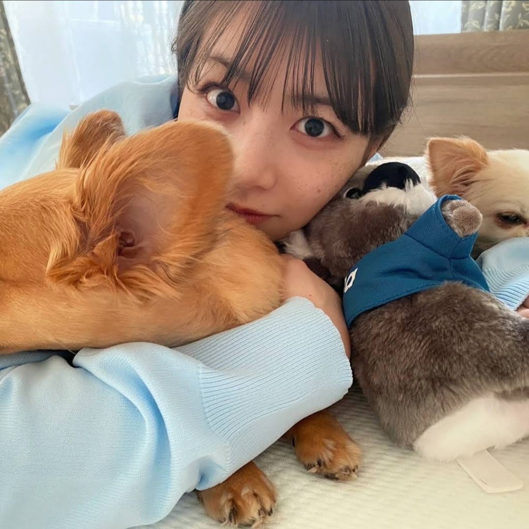 きぃちゃん