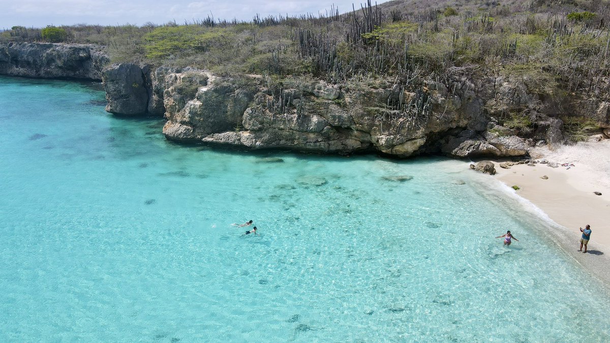 PasajeEnMano_'s tweet photo. 🇨🇼 CURAZAO

✈️ Hasta hace menos de un año no sabía ni que existía. Pero me voló la cabeza. El agua es una de las más transparentes en las que nadé jamás. 

🌊 No hay huracanes. No hay algas. 

🗺️ Queda al lado de Aruba. 

🏖️ 3 Playas Imperdibles: Port Mari, Kenepa y Klein. https://t.co/QmmoDKpwZt