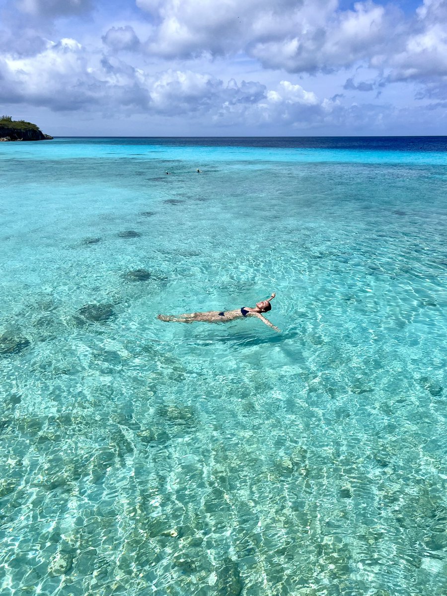 PasajeEnMano_'s tweet photo. 🇨🇼 CURAZAO

✈️ Hasta hace menos de un año no sabía ni que existía. Pero me voló la cabeza. El agua es una de las más transparentes en las que nadé jamás. 

🌊 No hay huracanes. No hay algas. 

🗺️ Queda al lado de Aruba. 

🏖️ 3 Playas Imperdibles: Port Mari, Kenepa y Klein. https://t.co/QmmoDKpwZt