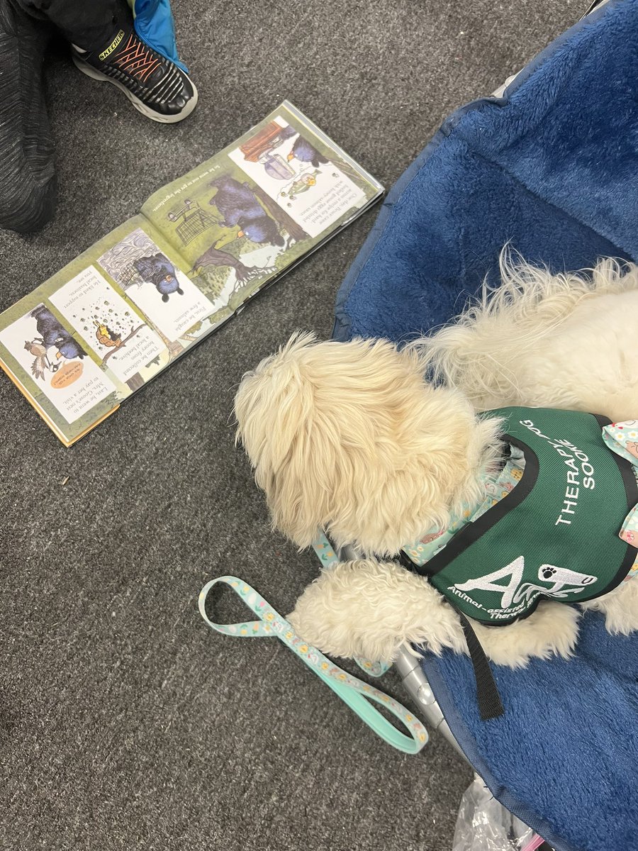 MsFeudo's tweet photo. Sookie and I loved hearing so many wonderful reading voices and stories @RSS_Littleton Literacy Night. 💙📚💛🐾 #therapydogsookie https://t.co/VCDOwLV843