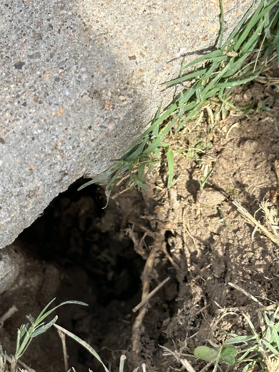 Mrs. Redmon tweet media