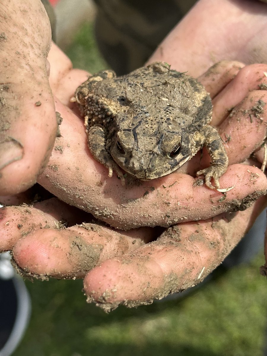 Mrs. Redmon tweet media