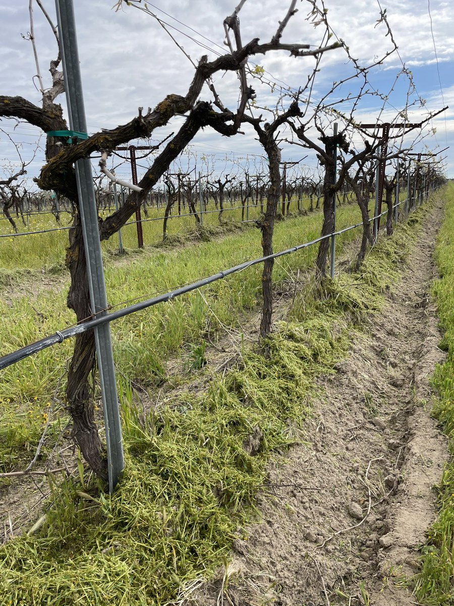 George Zhuang tweet media