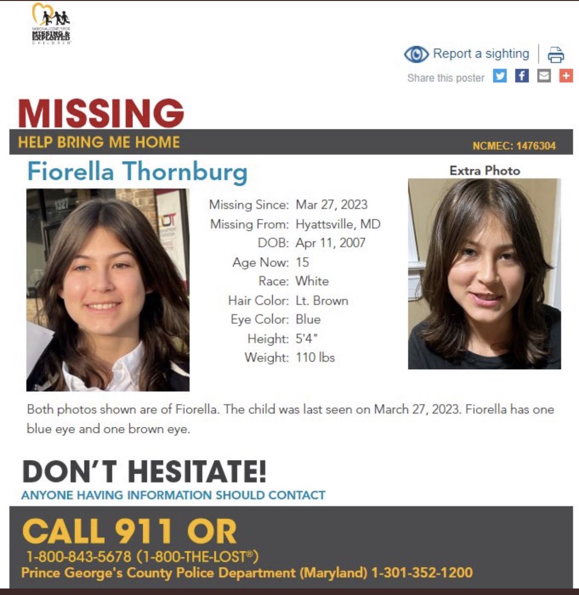 ads_laxer's tweet photo. #FindFio https://t.co/6EVPG3rcIP