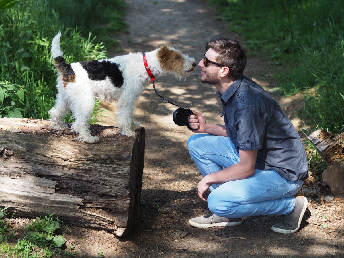 Fidapetus's tweet photo. You never know how much your dog loves you. 
✅Fida Retractable Pet Leash
✅Amazon Store: fida or https://t.co/mjPbRjqqIx                                    #FIDA #leash #petleash #dogleash #catleash #stylishleash #dog #doglover #doglife #dogmodel #dogphotography #ilovemydog #pet https://t.co/K8eUQE0UTC