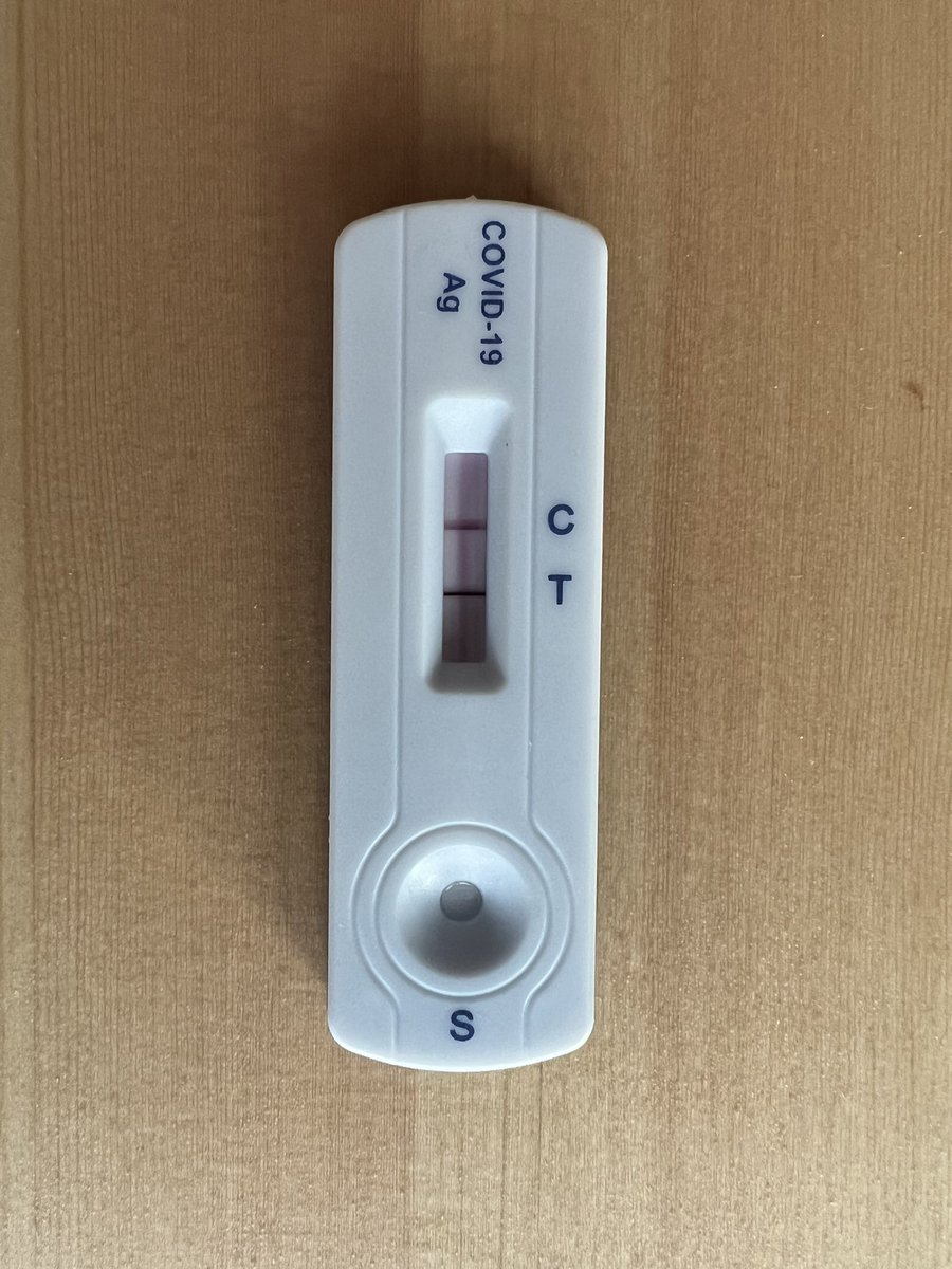 Kirill Shchapov tweet media