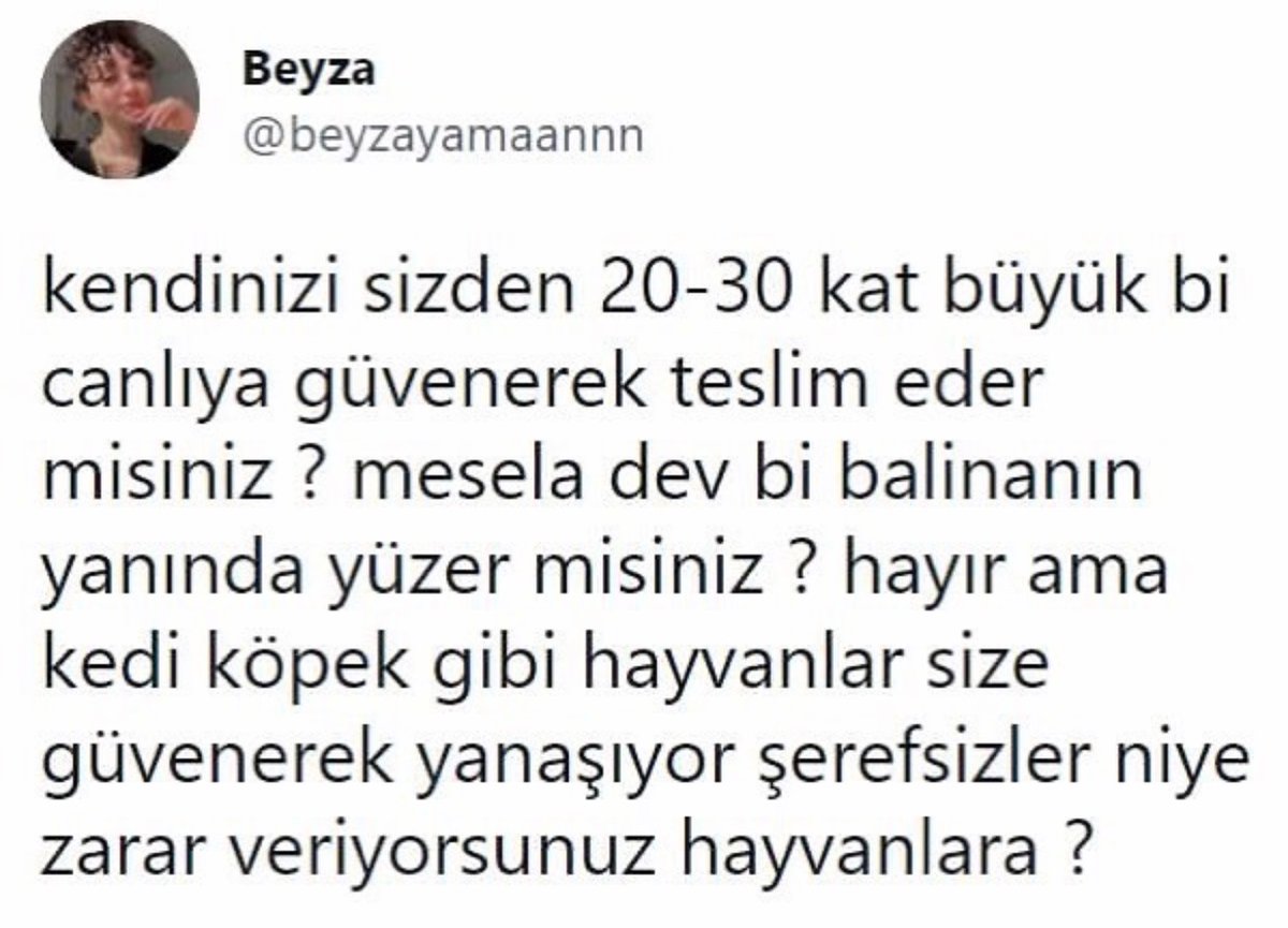 Alnı Öpülesi Tivitler (@alniopulesitivt) on Twitter photo 