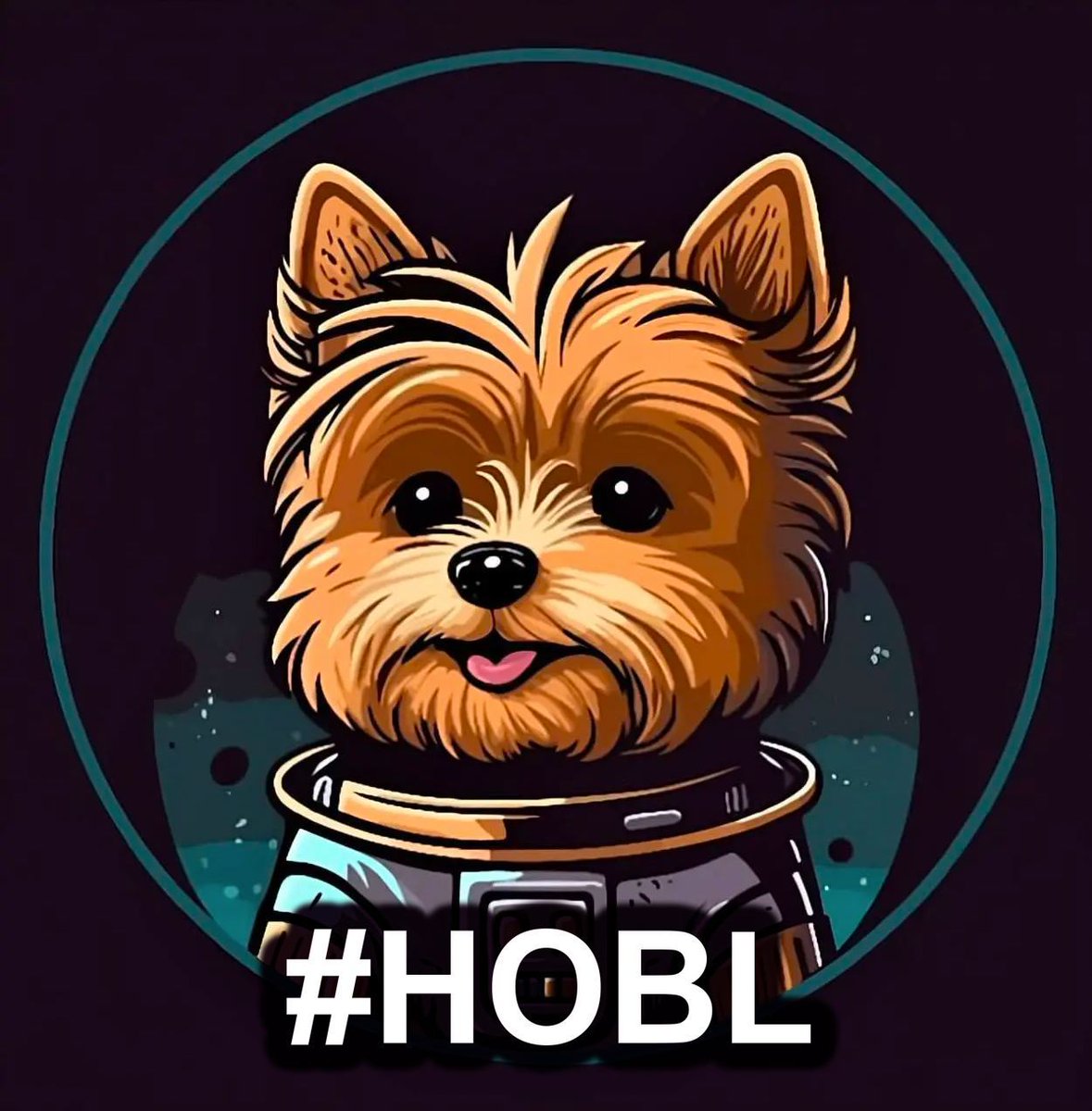 All you have to do is #Hobl your #Hobbes.