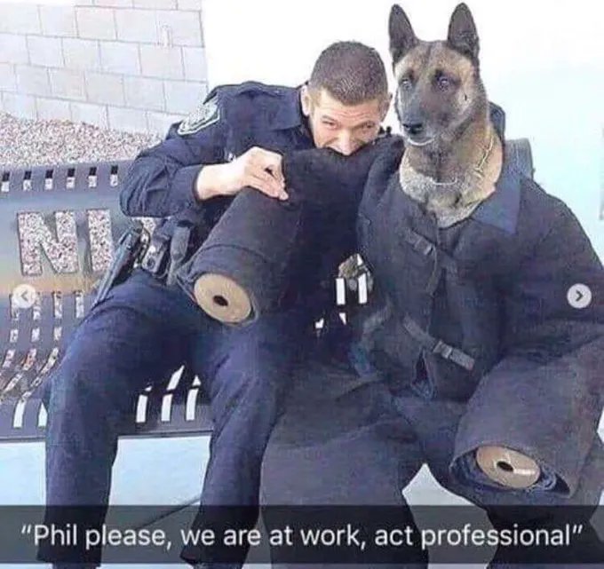 You Had One Job tweet media