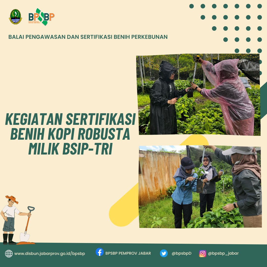 BpsbpD's tweet photo. Selamat pagi #wargibun π±π
Pada 28 Maret 2023, Tim PBT kembali melakukan Sertifikaai Benih Kopi Robusta milik BSIP-TRI di Parungkuda, Kabupaten Sukabumi.
#bpsbp #bpsbpjabar #disbun #disunjabar #sertifikasibenih #kopirobusta #perkebunjaya https://t.co/JB7t6qREdk