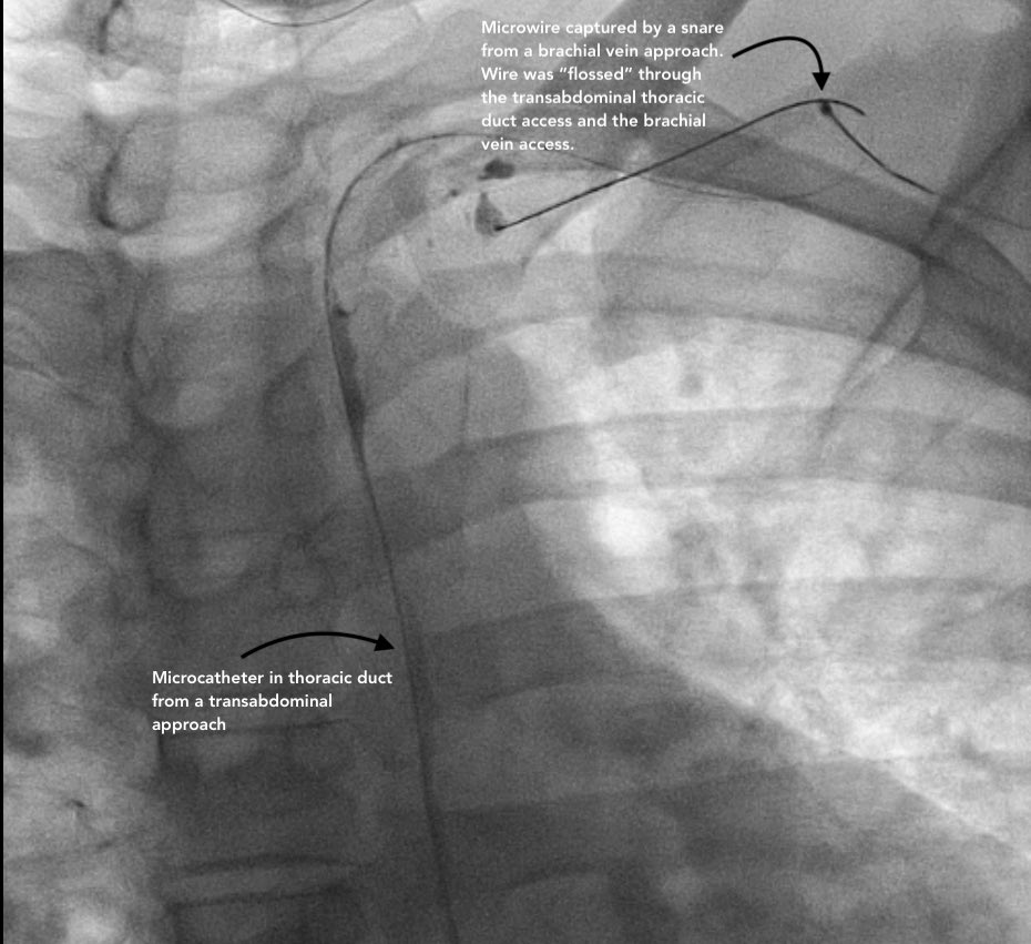 Steven Morales-Rivera, MD tweet media