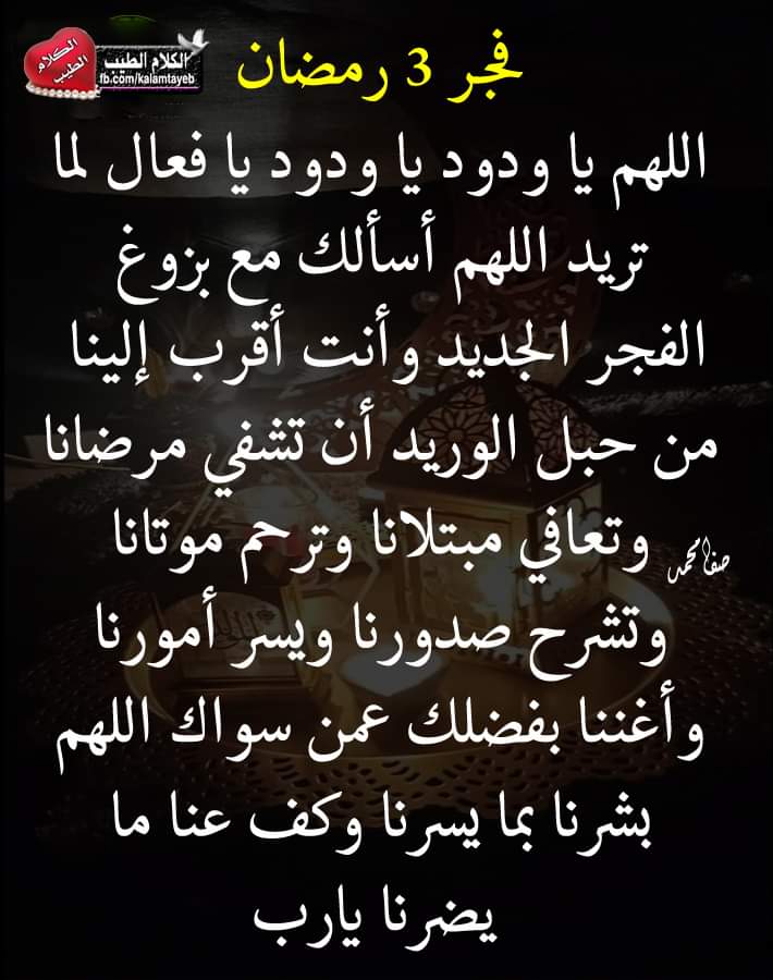 Mostafa82920020's tweet photo. @mes__31 @flfiwr https://t.co/ehBNLhZPLp
