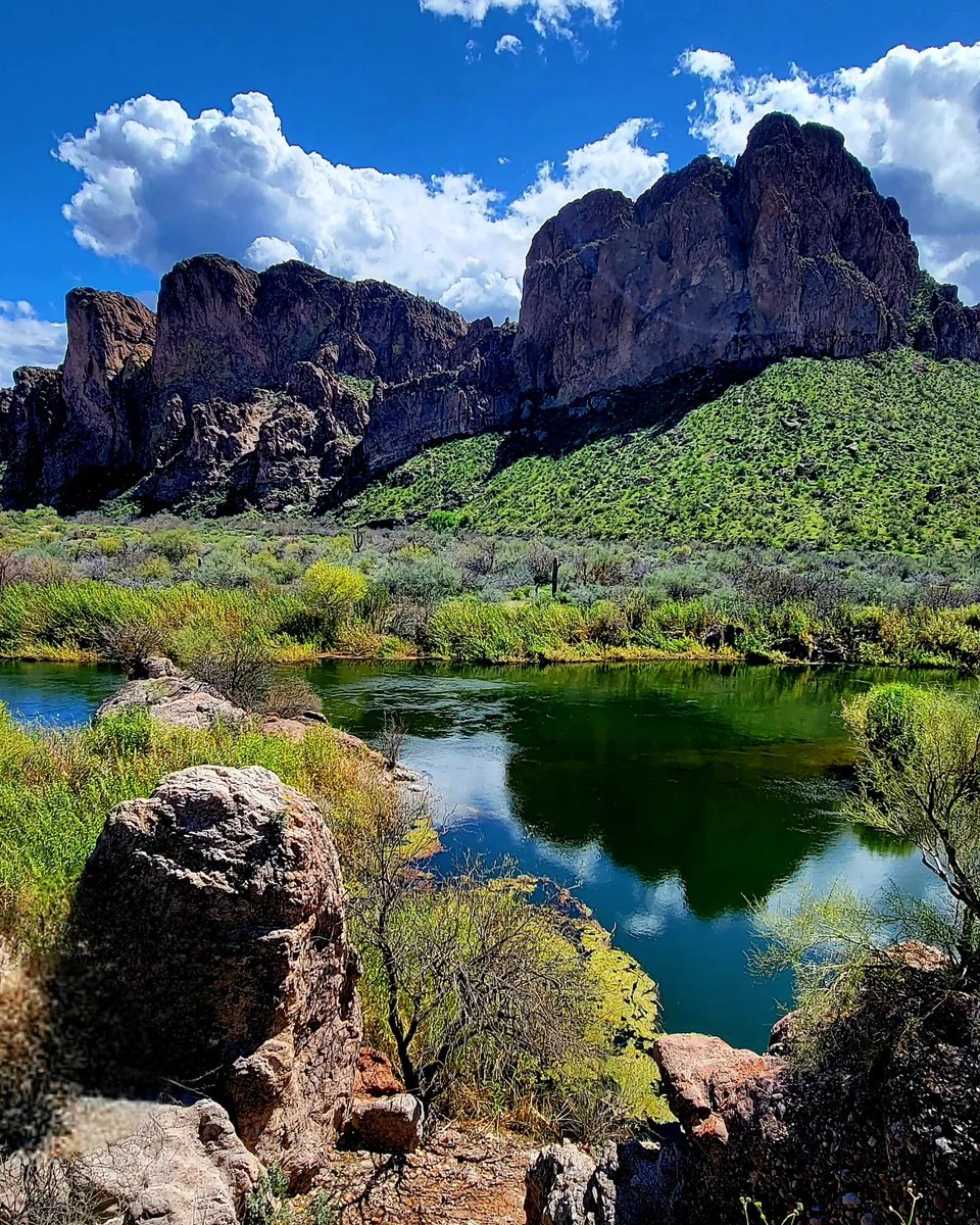 experiencefhaz's tweet image. The Desert is in bloom! Experience the beauty of Fountain Hills at the gateway of the Salt and Verde Rivers! #experiencefountainhills #fountainhills #azspring #azspringbreak #azhiking