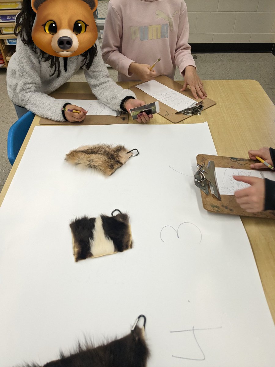 Mrs Harper tweet media