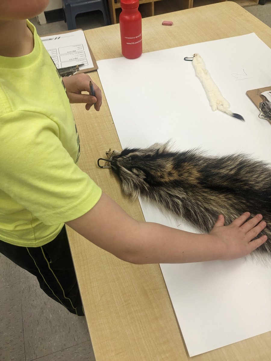 Mrs Harper tweet media