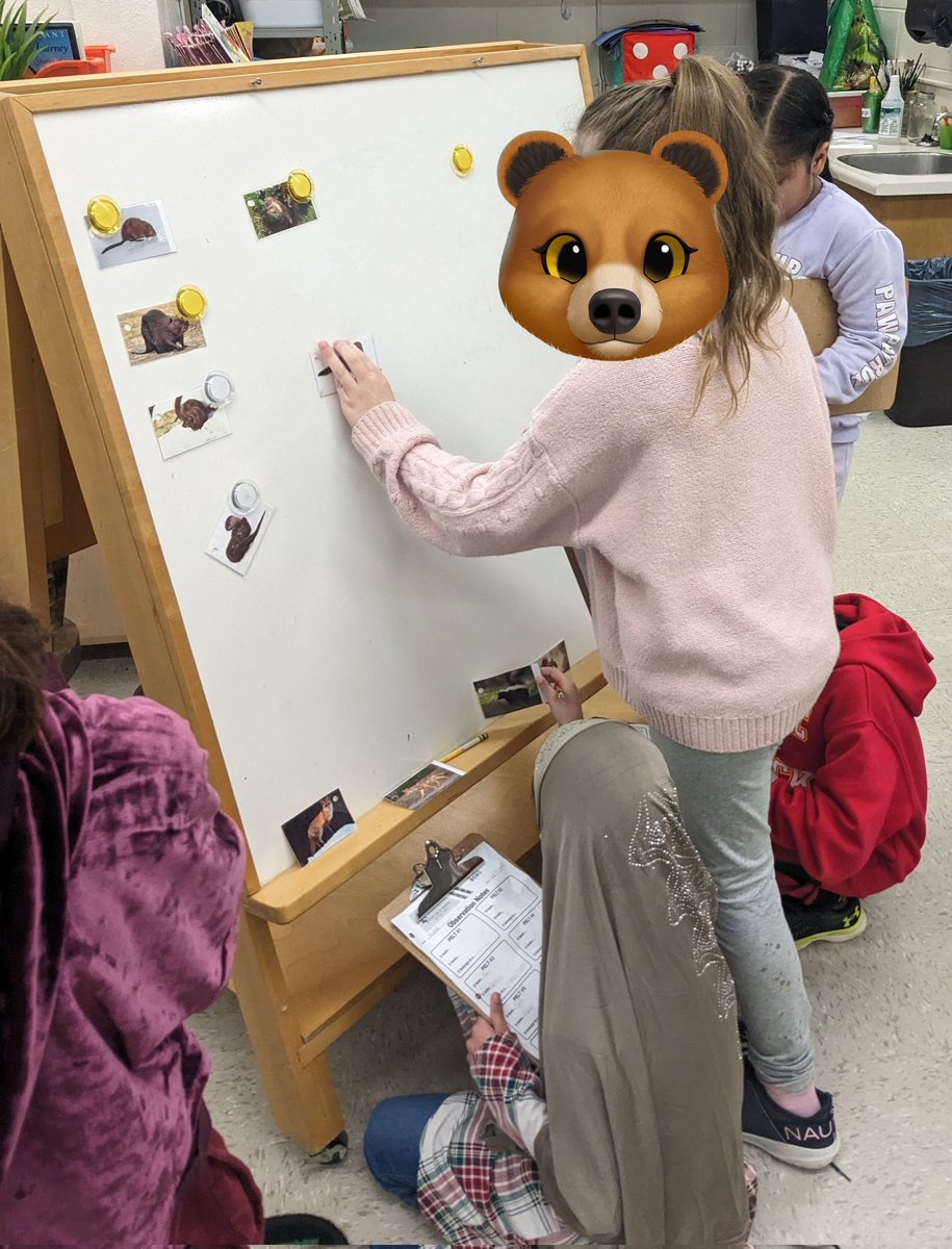 Mrs Harper tweet media