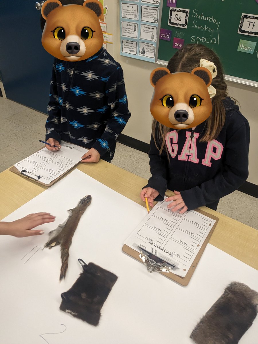 Mrs Harper tweet media