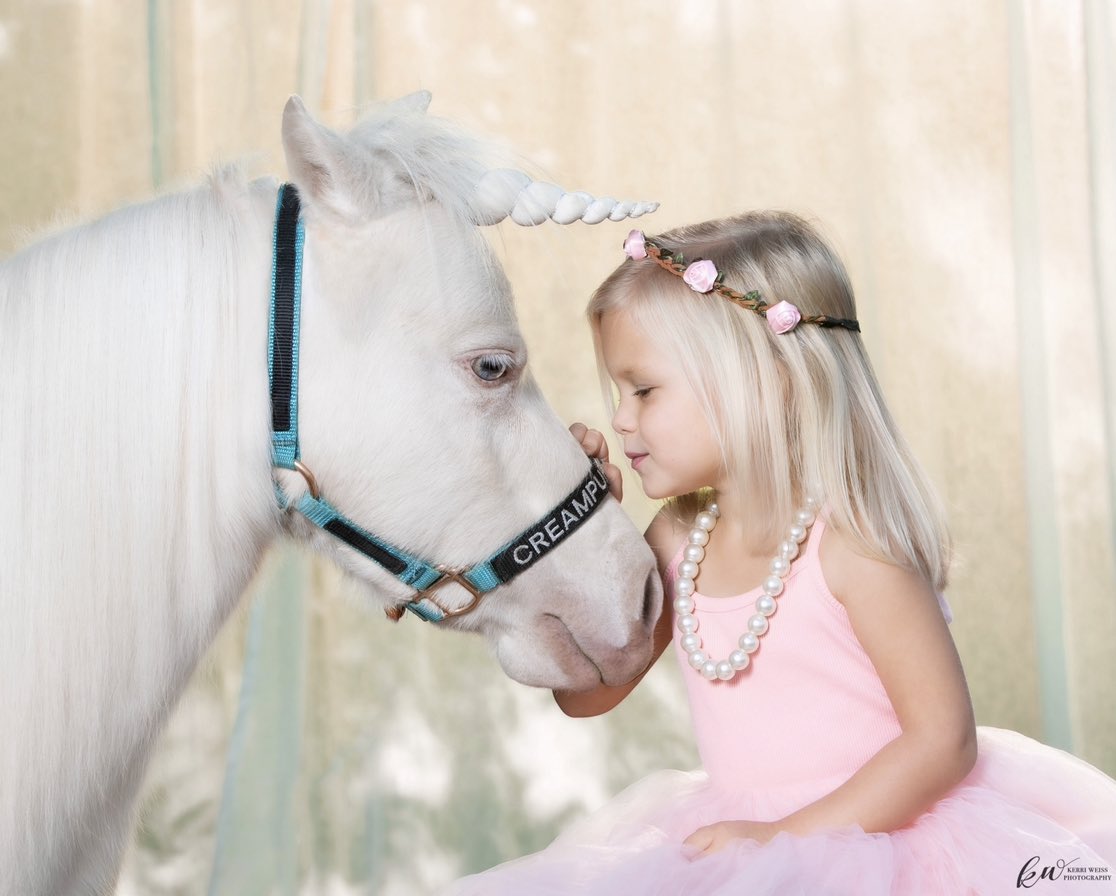 soulharborranch's tweet photo. The 10th birthday celebration continues for our stunning therapy unicorn CreamPuff! We love these gorgeous memories captured by angel Kerri Weiss ๐ฆ #miniunicorn #minihorse https://t.co/mnuq2YWHly