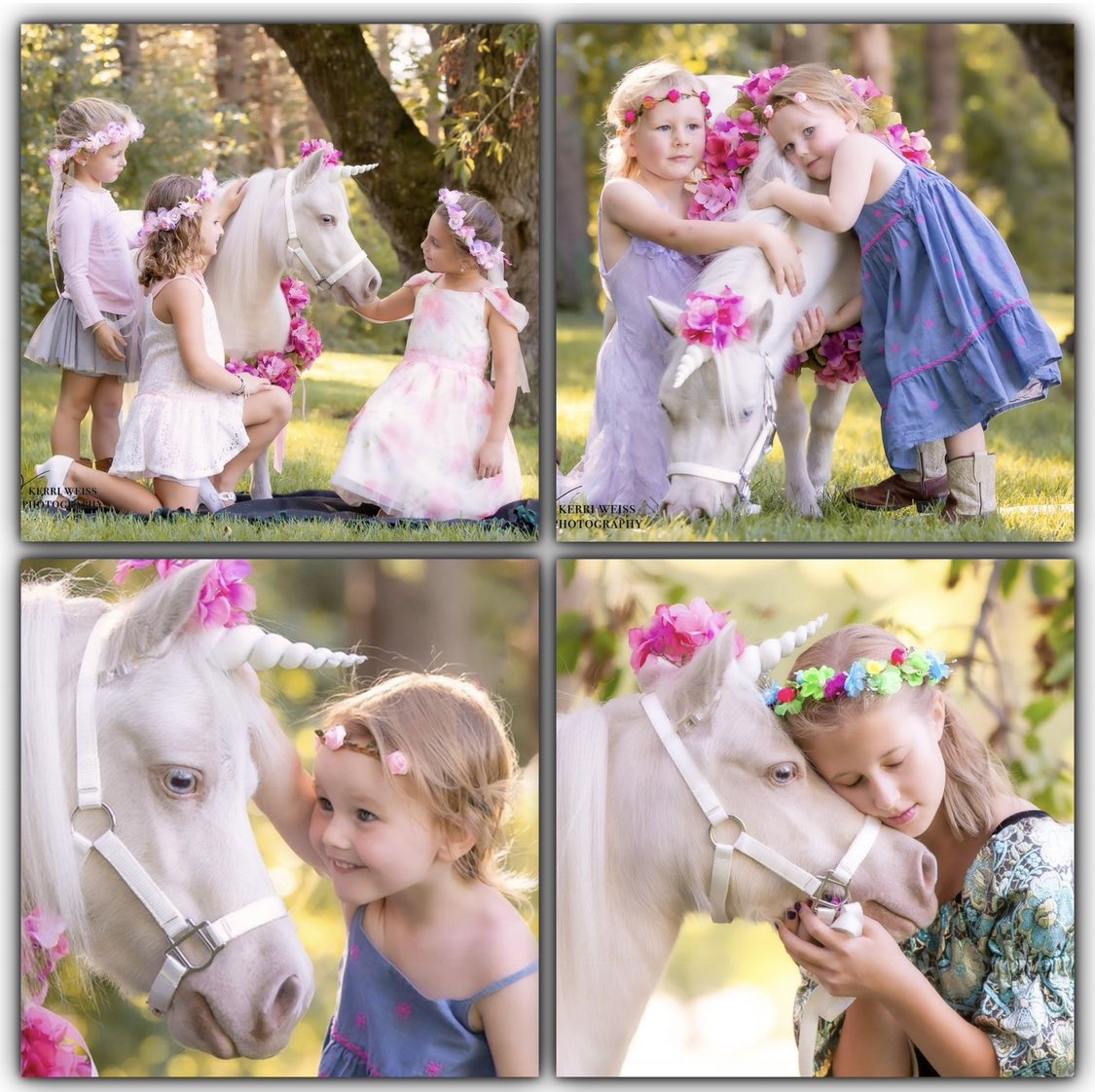 soulharborranch's tweet photo. The 10th birthday celebration continues for our stunning therapy unicorn CreamPuff! We love these gorgeous memories captured by angel Kerri Weiss ๐ฆ #miniunicorn #minihorse https://t.co/mnuq2YWHly