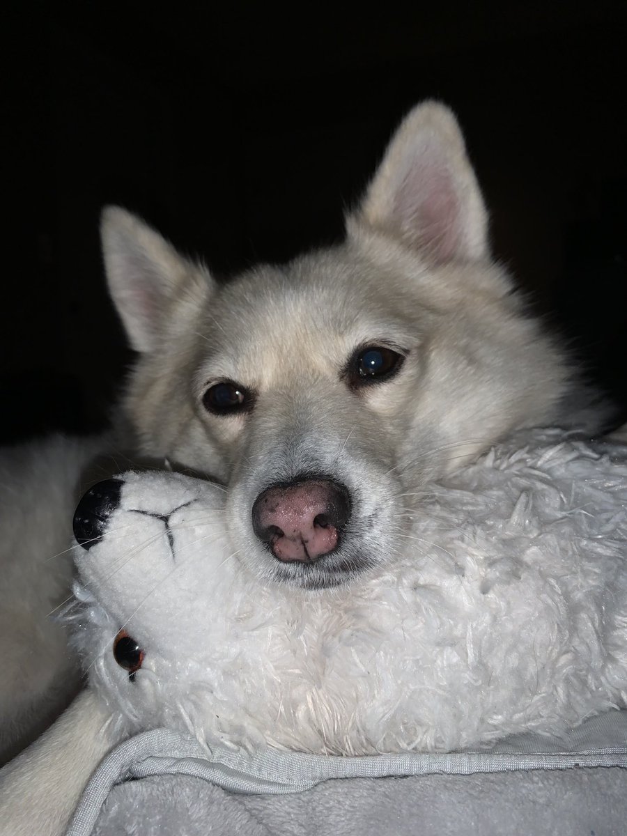 Lowvee Cole tweet media