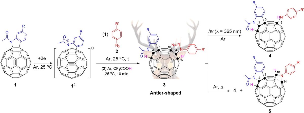 📄Anionic alkene-azide cycloaddition (AAAC) strategy toward electrosynthesis of multifunctionalized [60]#fullerene derivatives and further applications
🖊️By Guan-Wu Wang group at University of Science and Technology of China
🔗doi.org/10.1016/j.scib…
@ElsevierEnergy @ELSchemistry